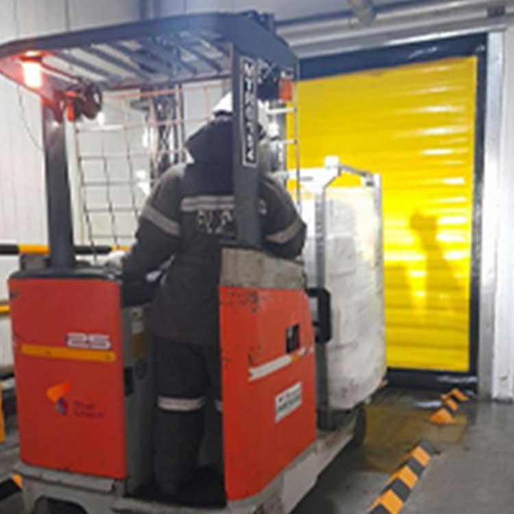 Cold storage door